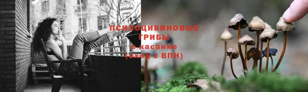 таблы Алзамай