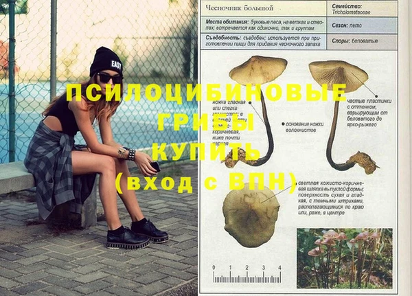 таблы Алзамай