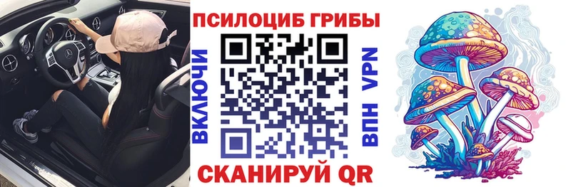 Псилоцибиновые грибы Psilocybe  Купить  Сосновка 