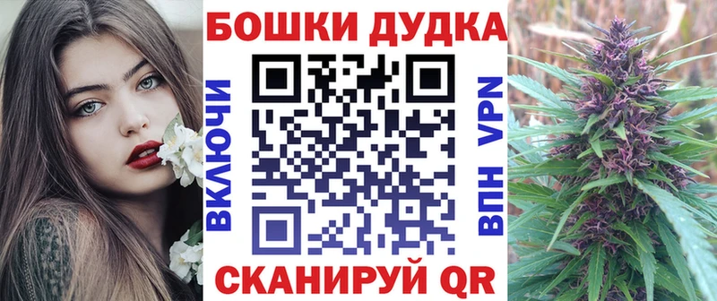 Купить закладки Сосновка Бошки Шишки OG Kush